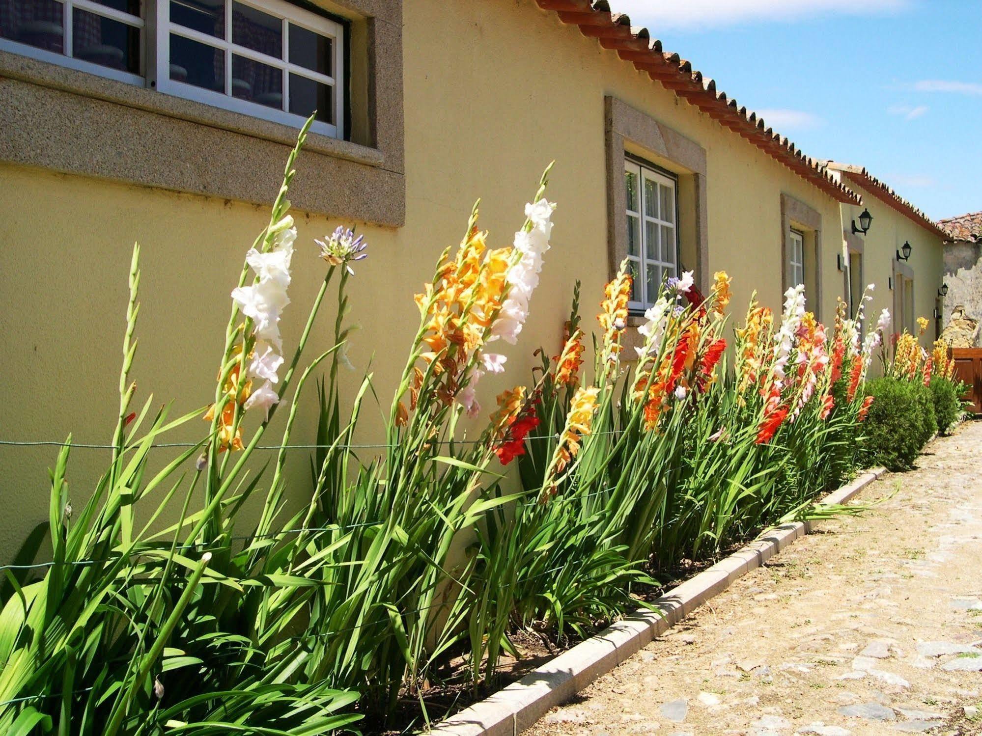 Hospedaria Do Convento D'Aguiar- Turismo De Habitacao Figueira de Castelo Rodrigo Exteriör bild